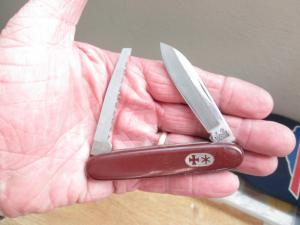 VTG RODGERS SHEFFIELD ENGLAND 2 Blade Moose Pattern 1 Saw Blade Knife B67