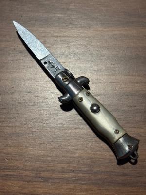 Little picklock