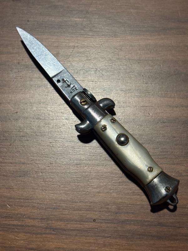Little picklock