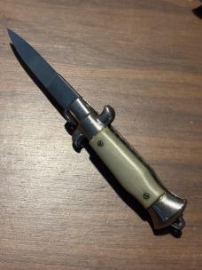 Little picklock