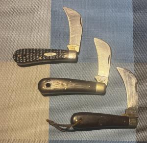 Hawkbill Heaven. 3 for 1 price