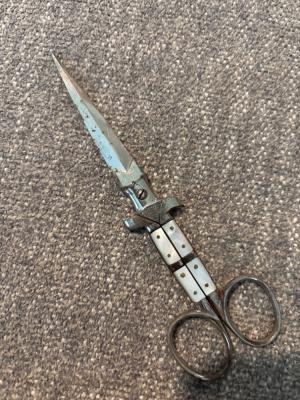 German Prostitute Scissors