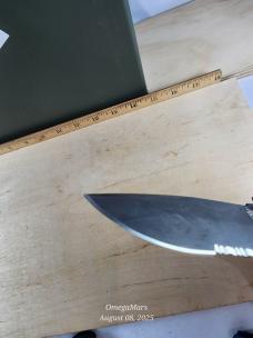 Gerber 06 Auto Drop point Serrated #1A Light usage Gerber 06 Auto Drop point Serrated #1A Light usage
