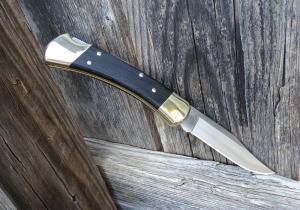Buck Knives 110 Folding Hunter Knife Ebony Scales S30V Blade - NEW