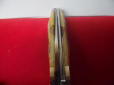 CASE XX 1981 GEN STAG 4" MUSKRAT SSP UNUSED NICE EVEN STAG CASE XX 1981 GEN STAG 4" MUSKRAT SSP UNUSED NICE EVEN STAG