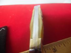 CASE XX 1981 GEN STAG 4" MUSKRAT SSP UNUSED NICE EVEN STAG CASE XX 1981 GEN STAG 4" MUSKRAT SSP UNUSED NICE EVEN STAG