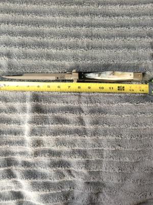 Renzo Pascotto 14inch Flat guard Wasp Body 