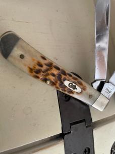 Case 6207 SS mini trapper amber bone 2024 edc Case 6207 SS mini trapper amber bone 2024 edc