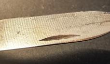 1999 Case Red Stag Damascus Canoe R52131D 1999 Case Red Stag Damascus Canoe R52131D