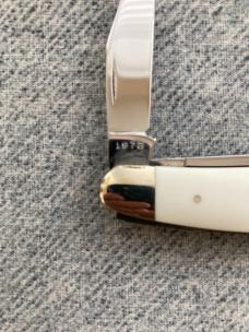 Vintage 1976 CASE XX 4380, NKCA, White Composition Handles, Whittler Pocket Knife Vintage 1976 CASE XX 4380, NKCA, White Composition Handles, Whittler Pocket Knife