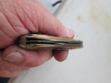 VTG ROBESON SHUREDGE ROCHESTER Jigged Worm Groove Bone Tear drop Knife 62229-1-4 VTG ROBESON SHUREDGE ROCHESTER Jigged Worm Groove Bone Tear drop Knife 62229-1-4