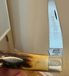 1978-79 Case XX Trapper 1st One Blade Trapper Produced/1st Twice Dated. Awesome Stag on this one! 1978-79 Case XX Trapper 1st One Blade Trapper Produced/1st Twice Dated. Awesome Stag on this one!