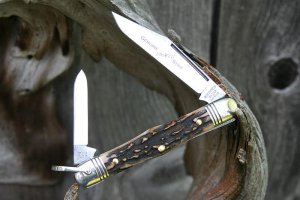 Great Eastern Cutlery Northfield 33 Conductor Genuine Stag GEC