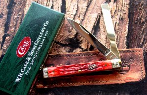 Case - Doctor's Knife Dark Red Bone Silver Script 