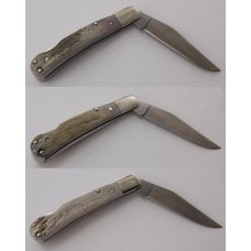2011 AAPK Club Knife  - Whitetail Deer Antler 3 3/4