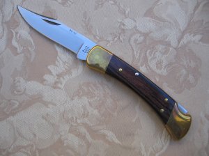 Buck 110 with BG-42 blade