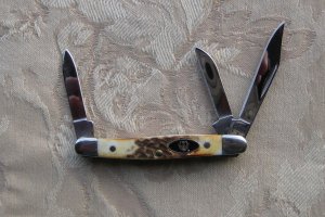 Case Ruger Sp. Edition Stag Small Stockman