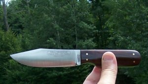 MARBLES DALL DEWEESE ORIGINAL PATTERN -GLADSTONE MICH - COCOBOLO SCALED HUNTER - 1 OF 425 SCARCE !!!