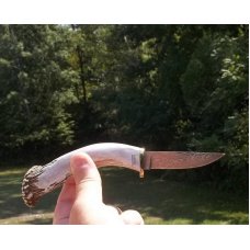 SILVER STAG-USA-CROWN STAG HANDLE W/ DAMASCUS BLADE-SMALL GAME BIRD & TROUT KNIFE-W/ ORIGINAL SHEATH