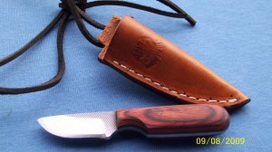 ANZA USA MINIATURE  NECKER ~ SKINNER KNIFE 
