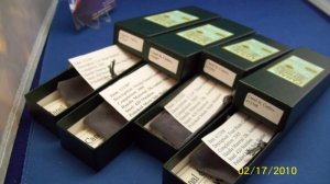 4 CANAL STREET BOXES, CONGRESS,MUSKRAT,SWING GUARD,3 BLADE STOCKMAN ~ REDUCED