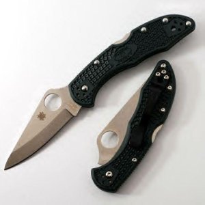 Spyderco Delica 4 Plain Blade