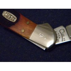 Case XX USA 1998 Chestnut Saw Bone 61549L SS Copperlock Knife - SFO - NIB