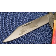 Case XX USA 2002 Indian Paintbrush Bone 6111 1/2L SS Cheetah Knife - NIB