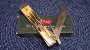 Case XX USA 2003 Bone Stag 6.5111 1/2L SS Cheetah Knife - NIB
