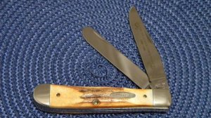 Case XX USA Stag 5254 SSP 