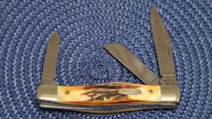 Case XX USA Stag 53032 SSP 