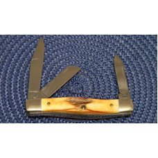 Case XX USA Stag 53032 SSP 