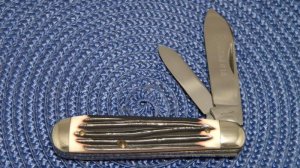 Queen Steel #18 Imitation Winterbottom Bone Big 