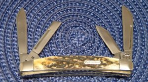 Case XX USA 2004 Stag 5468 SS John Deere Congress Knife