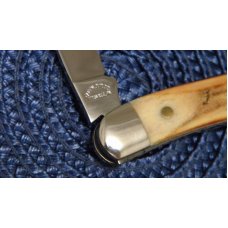Robeson Shuredge USA (by Queen Cut. Co.) Stag Mastercraft Tiny Toothpick Knife Robeson Shuredge USA (by Queen Cut. Co.) Stag Mastercraft Tiny Toothpick Knife
