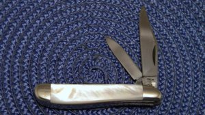 Case XX SS USA 8 Dot (1982) Pearl 8220 Peanut Knife 