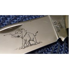 Case XX USA 6 Dot (1974) Laminated Wood 6250 Etched Elephant Toe Knife Case XX USA 6 Dot (1974) Laminated Wood 6250 Etched Elephant Toe Knife