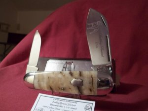 BULLDOG USA GENUINE HIMALAYAN RAMS HORN WILDCAT DRILLER SUNFISH 1 0F 100 *SUPER NICE AAA+ RAMS HORN*