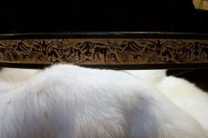 Handmade Leather Western Style Belt WildlifeTooling- Made in the USA 