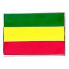Irish Pride Flag Belt Buckle T057