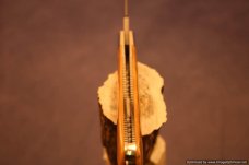 Todd Davison Mammoth (Fossil) Ivory Folder Knife.  #1390