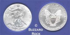 Year 2001 American Silver  Eagle Dollar in Air-Tite Holder
