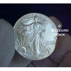 Year 2002 American Silver Eagle Dollar in Air-Tite holder