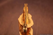 Schatt & Morgan #48 Sheepsfoot Half Whittler.  #1141