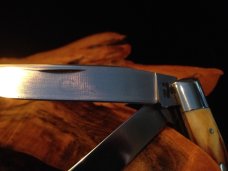 Case xx 5254 Stag Trapper 1976