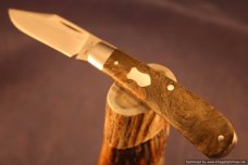 Todd Davison Custom California Buckeye Burl Folder. #1486