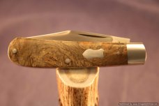 Todd Davison Custom California Buckeye Burl Folder. #1486