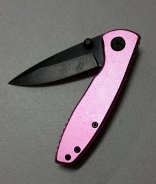 S amp W Pink Executive Liner Lock
