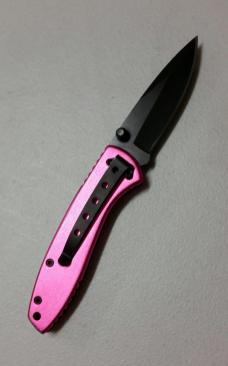 S & W Pink Executive Liner Lock