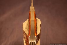 Tuna Valley Cutlery India Amber Stag Carpenter Whittler.   #483
